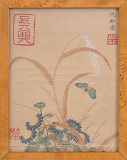 AFTER SHEN QUAN (1682-1760): BUTTERFLY AND FLOWERS