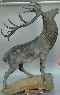 Bronze bull elk bugling, life size.   height 88 inches, length 64 inches