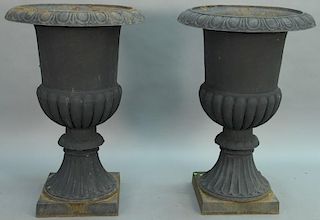 Pair of large iron urns. 
height 47 inches, diameter 33 inches 
Provenance: 
Property from the Estate of Frank Perrotti Jr. o