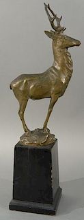 John Massey Rhind (1860-1932) 
bronze 
Elk 
signed on base: Massey Rhind 
base marked: Study for Corning Fountain 1898 
bronz