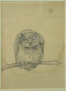 Louis Agassiz Fuertes (1874-1927) pencil sketch on paper Owl unsigned sight size: 9 1/2" x 7" Provenance: From the Estate of