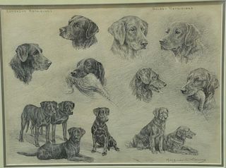 Marguerite Kirmse (1885-1954), 
pencil on paper, 
"Labrador Retrievers" "Golden Retrievers", 
signed lower right: Marguerite