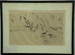 Frank Weston Benson (1862-1951) two etchings (1) "Yellow Legs Alighted" plate size: 9 3/4" x 14 3/4" (2) Flying Widgeon