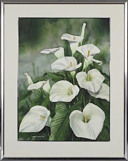 Darryl Trott (1942-2004, Australian), "Calla Lilies," 1978, watercolor, signed and dated lower left, presented in a metal fra