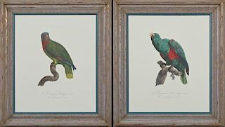 Francois Levaillant (1753-1824), "The Red-Flanked Parrot, " and "The Bouquet Parrot," 20th c., pair of colored prints, presen