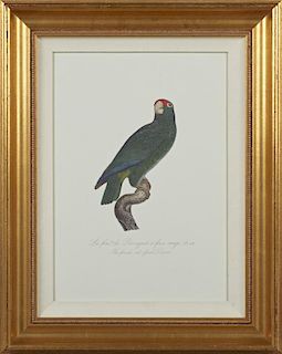 Francois Levaillant (1753-1824), "The Red-Fronted Ara Parakeet," 20th c., colored print, together with "The Female Red-Faced 