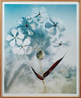 Dornith Doherty (Texas),“Threading,” 2001, Chromogenic color photograph, unsigned, presented in a contemporary wood frame