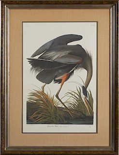 John James Audubon (1785-1851), "Great Blue Heron," No. 43, Plate 211, 20th c., pencil numbered 156/500 lower right, presente