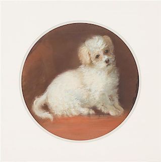 Artist Unknown, (20th Century), Portrait of Small White Dog