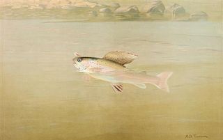 A.D. Turner, (18th/19th Century), chromolithograph "The Montana Grayling" printed by Sackets & WilhelmÃ­s Litho & Ptg Co. N