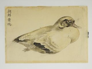 18C Chinese Watercolor Painting of Mandarin Duck