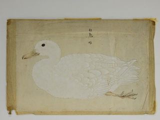 18C Chinese Watercolor Paper Peking Duck Painting