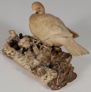 JAPANESE CARVED IVORY DOVE, MEIJI PERIOD.