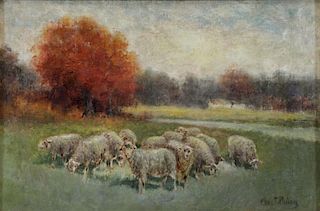 PHELAN, Charles. Oil on Canvas. Sheep at Pasture.