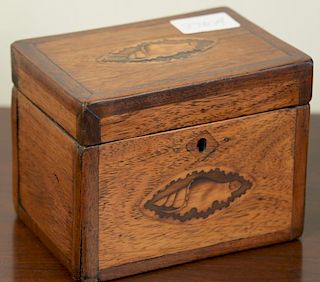 Mahogany tea box with conch shell inlay