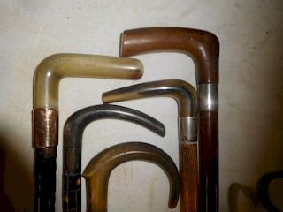 Group of Five Horn Canes