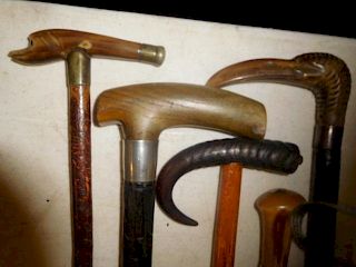 Group Five Horn Canes