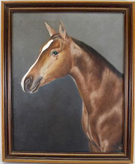 Vintage American School Horse Portrait