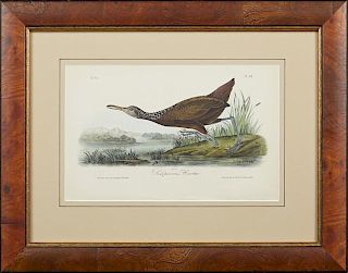 John James Audubon (1785-1815), "Scolpaceous Courlan," No. 63, Plate 312, 1840, Octavo first edition, presented in a burled w