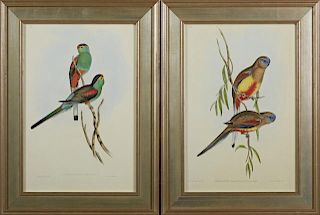 J. Gould and H.C. Ritcher, "Psepthotus Pulcherrimus," and "Psephotus Haenatogaster," 20th c., pair of colored parrot prints, 