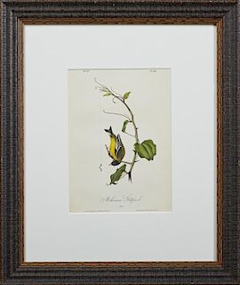 John James Audubon (1788-1851), "Arkansas Goldfinch," No. 37, Plate 183, 1840, octavo first edition, presented in a carved eb