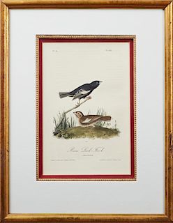 John James Audubon (1785-1815), "Prairie Lark Finch," No. 41, Plate 202, 1840, Octavo first edition, presented in a gold leaf