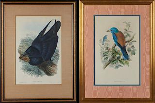 John Gould and H.C. Ritcher, "Coracius Garrula," and "Corvus Corax," 20th c., pair of bird prints, after the 19th c. original