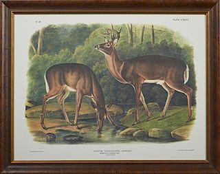 John James Audubon (1785-1851), "Common or Virginian Deer," No. 28, Plate 136, Southart-Parkway edition, 20th c., from his qu