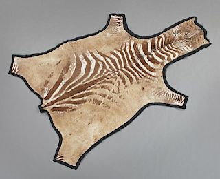 Zebra Skin Rug, 20th c., on a cloth backing, 4' 11 x 8' 2