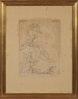 American School, "Cockscomb," late 19th c., watercolor, presented in a gilt frame, H.- 15 3/8 in., W.- 10 5/8 in. Provenance: