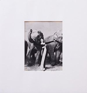 RICHARD AVEDON (1923-2004): DOVIMA WITH ELEPHANTS, (SMALL FORMAT)