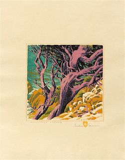 Gustave Baumann, (German, 1881-1971), Monterey Cypress, 1932-36