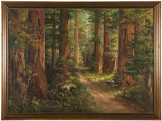 20th Century American, redwoods landscape