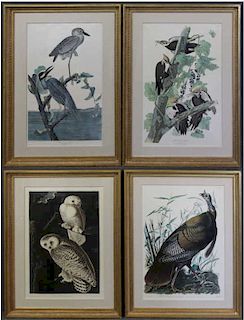 AUDUBON, John James. Lot of 4 "Birds of America"