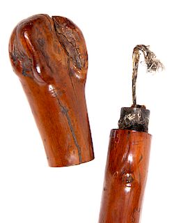 55. Torch Lamp Cane- Ca. 1860- Nice original patina on a twigspur sapling shaft and handle, the handle is held to the shaft by friction, when pulled a