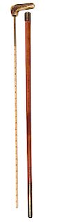 203. Horse Measure Cane- Ca. 1860- An early stag horse measure stick which is in need of a new level, brass collar, hardwood shaft and a 6” brass ferr