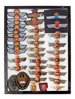 Spanish Wings and Aviation Badges
