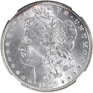 U.S. 1899 MORGAN $1 COIN