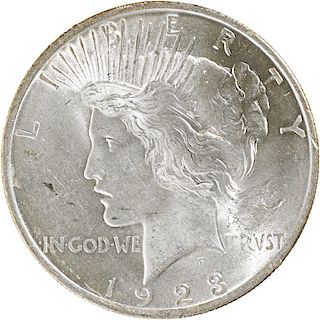 U.S. MORGAN AND PEACE $1 COINS