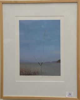 Akira Komoto, silkscreen, Lake Biwa Tree, signed lower right: Akira Komoto, numbered lower left: 7/100, purchased from the Tolman Ga...