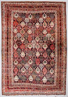 Antique Baktiari Rug, Persia: 11'3'' x 16'1''