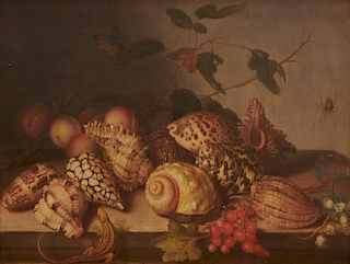 DUTCH SCHOOL, (17th century style), Sill Life with Shells, Fruit, and Insects, oil on panel
