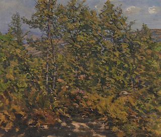 EDWARD DARLEY BOIT, (American, 1842-1916), Young Woods at Cernitojo, Tuscany, 1907-8, oil on canvas