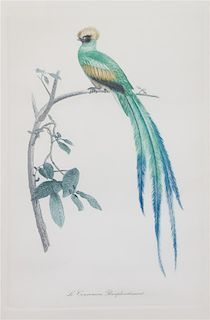 A Pair of Ornithological Color Prints After Edouard Travies Framed 14 1/4 x 9 1/4 inches.