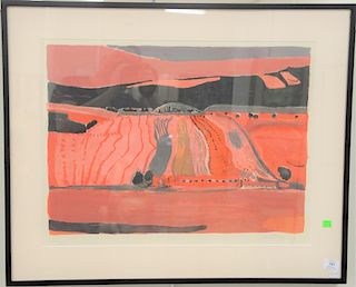 Henri Hayden (1883-1970), colored lithograph, Red Fields, signed and dated lower right: Hayden 69, numbered lower left: 5/175, sight...