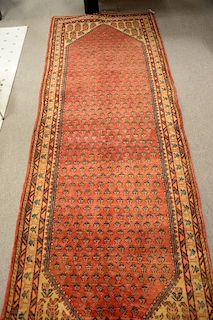 Oriental area rug, 3'6" x 10'4"