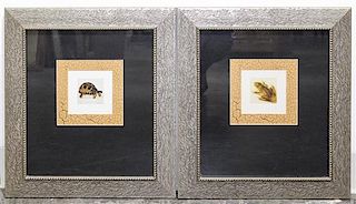 A Pair of Prints Depicting a Tortoise and a Frog Height of frames 18 x width 16 inches.
