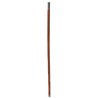 Andersonville POW Cane Owned by David G. James, Author of the Andersonville Monument Commission, Plus
