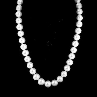 Single Strand 13.0-15.0mm South Sea White Pearl Necklace with 14 Karat Yellow Gold and Diamond Clas