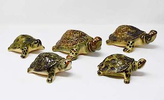 5 Pottery turtles